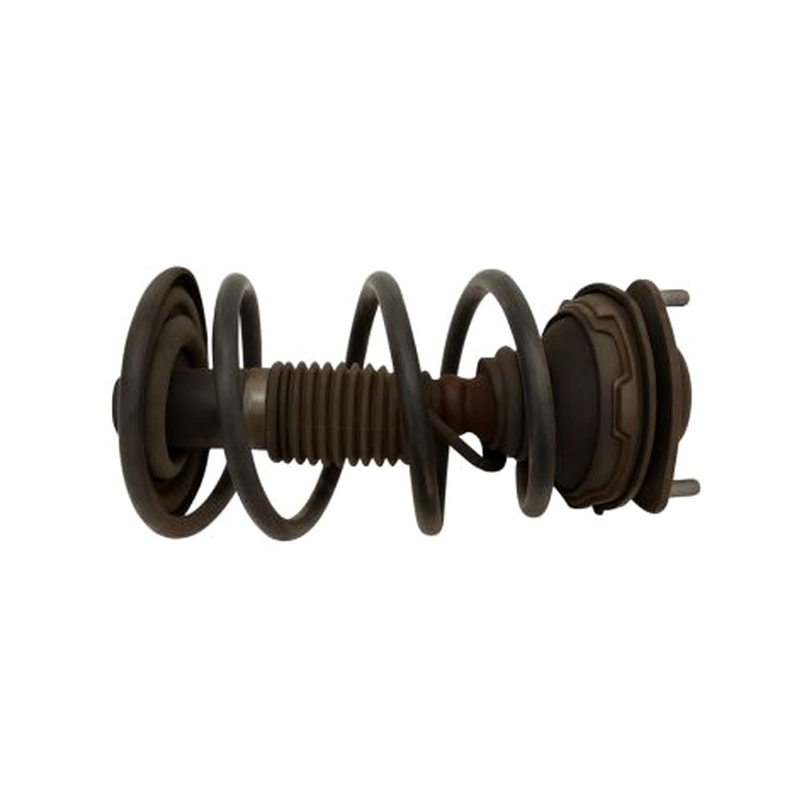 Toyota Solara 2004-2006 Front Right Shock Absorber product image